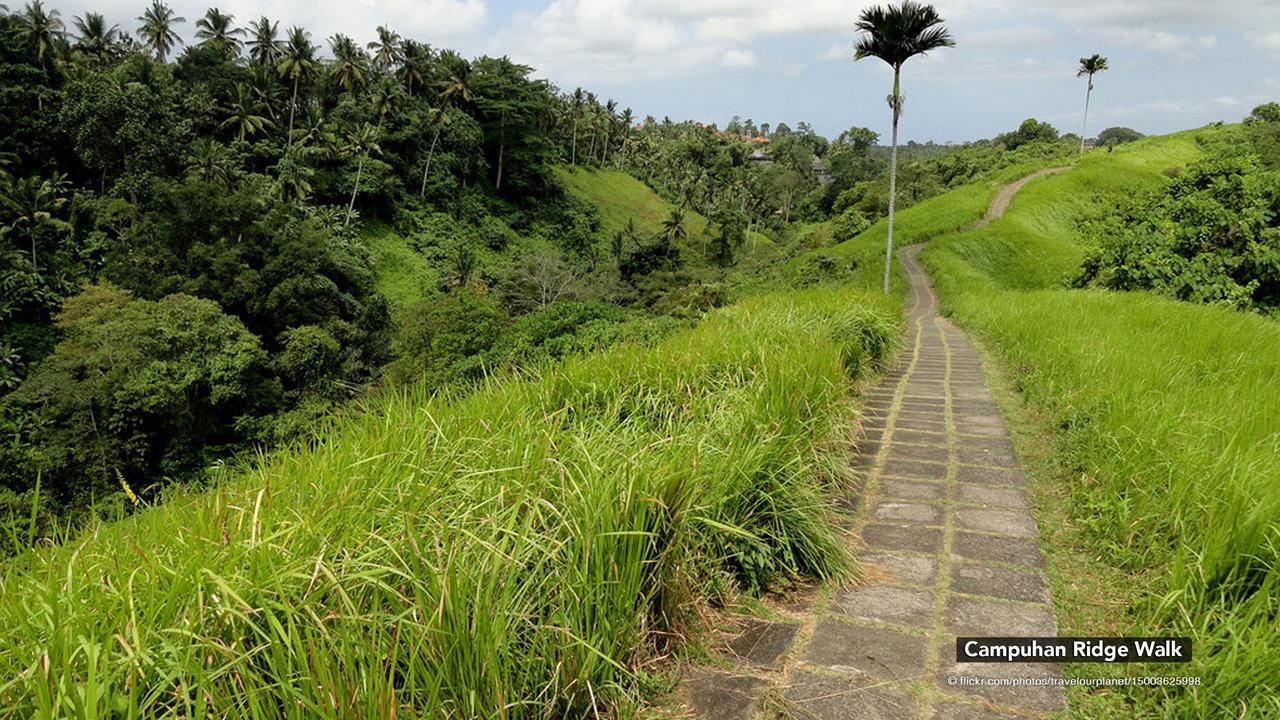 Zen Premium Nyuh Bojog Ubud Экстерьер фото